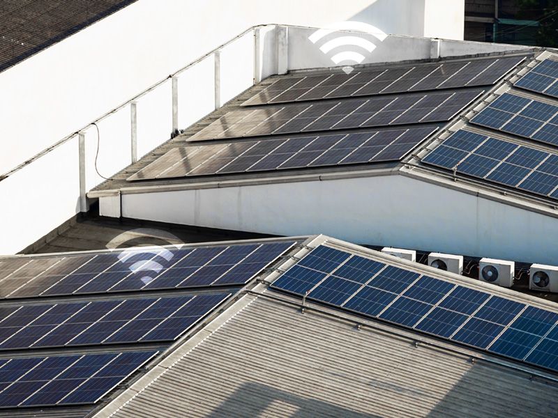 WhatsApp Image 2025-03-04 at 4.03.16 PM